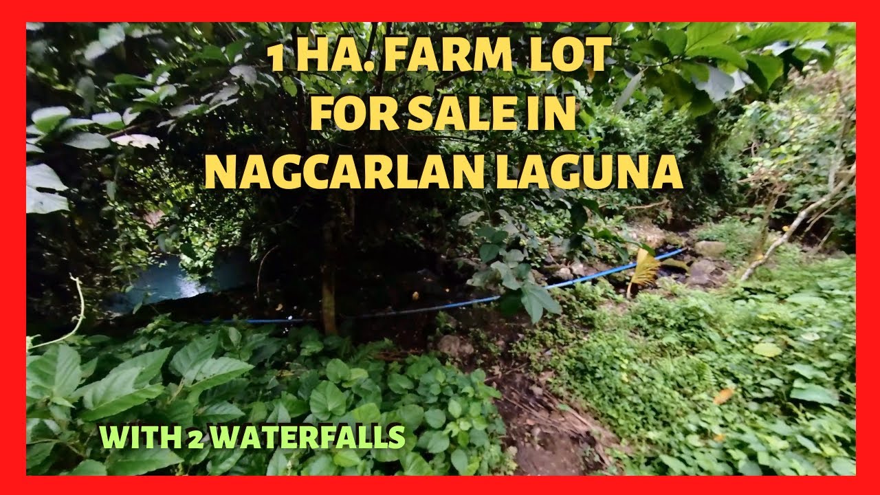 1 ha Farm Lot in Nagcarlan Laguna for Sale (Lot Code 2420)