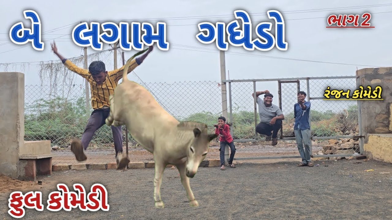 બે લગામ ગધેડો ભાગ 2 | ranjan comedy | gujrati comedy | rc comedy