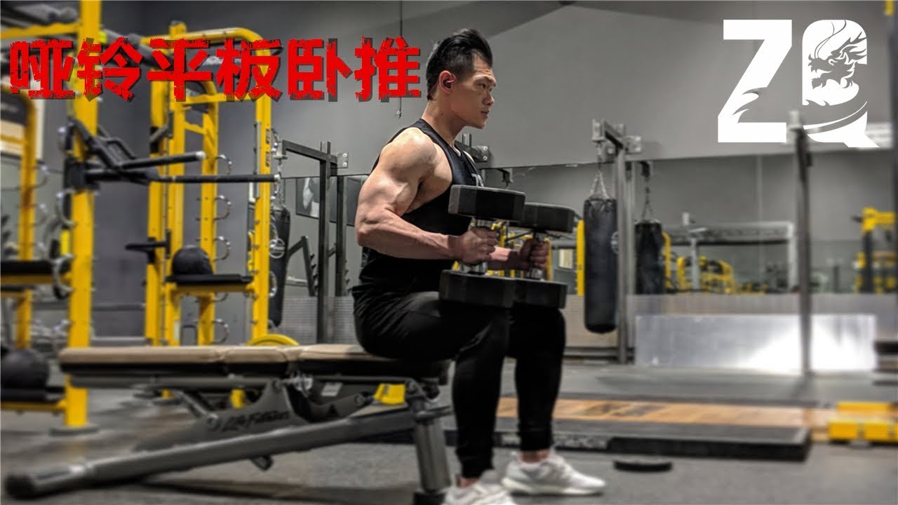 【ZQ】如何正确地平板哑铃卧推？｜打造铠甲般的胸肌｜平板哑铃卧推讲解教学｜胸肌训练｜动作示范｜常见错误｜