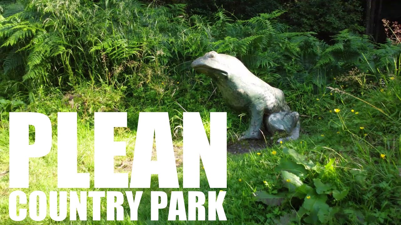 Plean country park : By drone