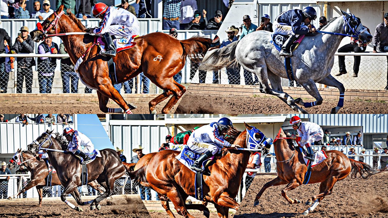Duelo De 7 Vs 7 C. LA ESPERANZA Vs C. LA ESTRELLA | Satevo Race Track Chihuahua Mex.