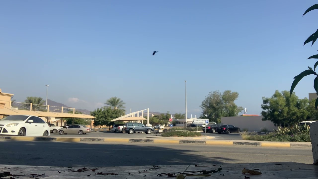 Flixing the view in Khorfakkan!!!