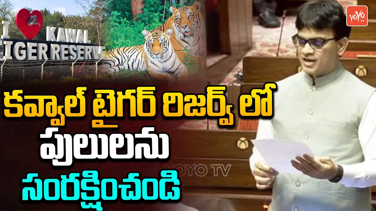 YSRCP MP S Niranjan Reddy Requested to Save Tigers in Kawwal Tiger Reserve in Rajya Sabha | YOYO TV