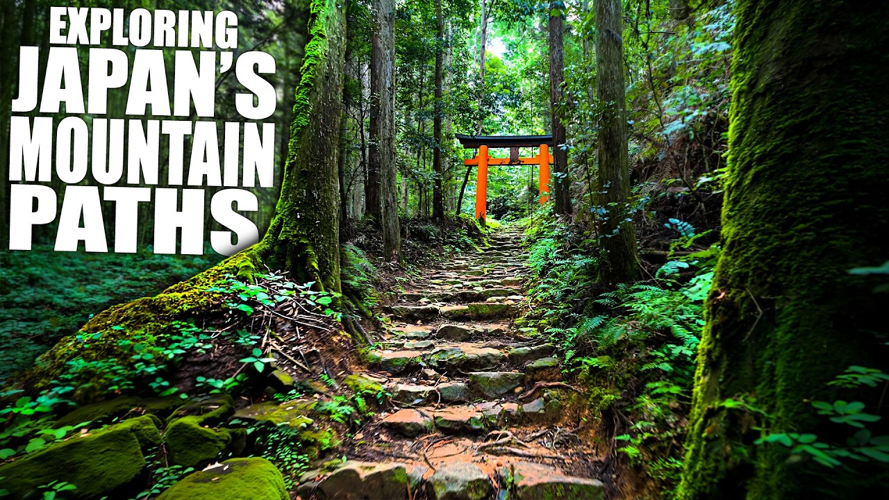 Exploring the Forest Hidden Behind Japans BIGGEST Torii Gate 🫪⛩️