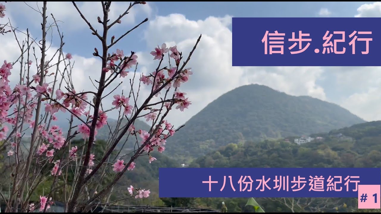 北投.十八份水圳步道櫻花紀行#1