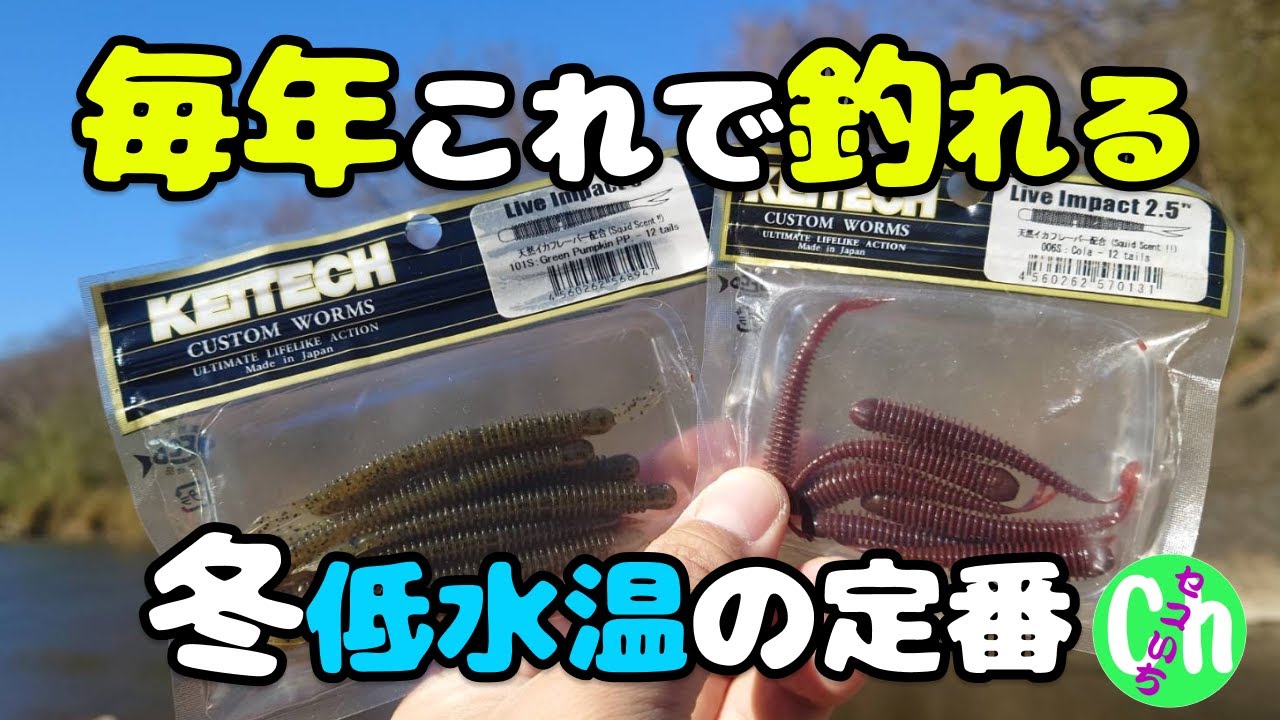 【冬の正解ワーム】ライブインパクト2.5 / 3インチはこう使い分ける！【Black bass】【川スモール】【初冬】【冬】【12月】