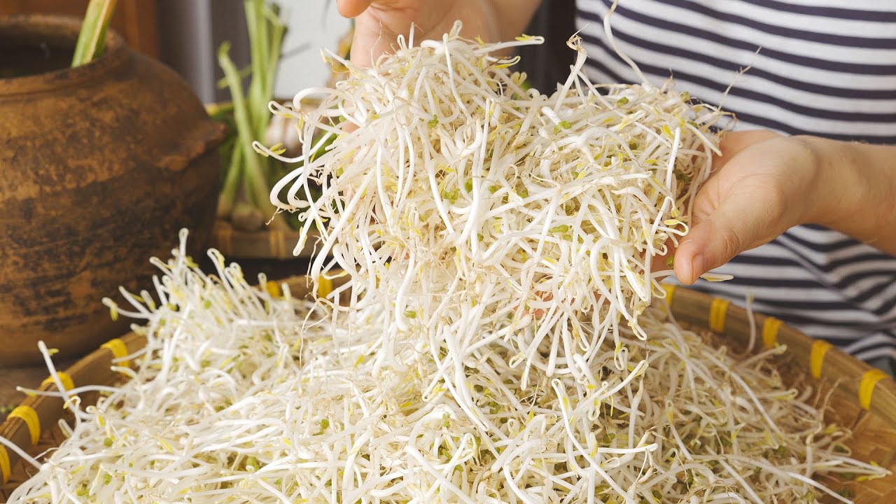 Cách Ủ Giá Đỗ Sạch Tại Nhà | Bếp Dì Hường