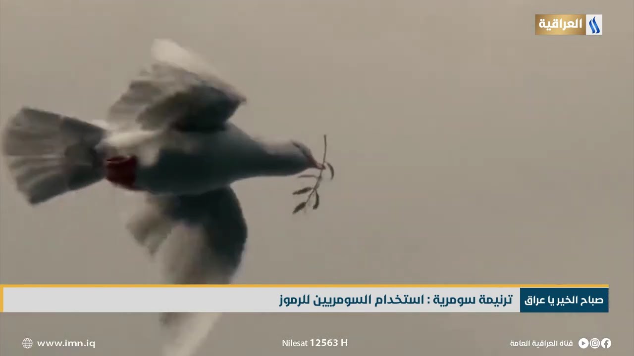 ترنيمة سومرية : استخدام السومريين للرموز | تقرير - شيماء جبار
