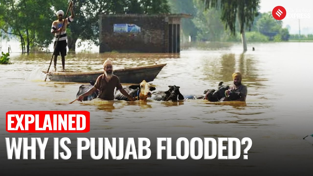 Punjab's Worst Crisis: How Did Punjab Get Flooded - River, Dams & Man-Made Disaster Explained
