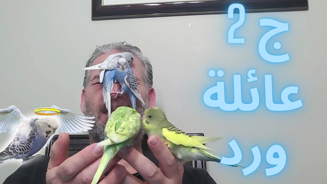 (اولاد ورد ) تركتلكم تختاروا واحد من اولاد ورد