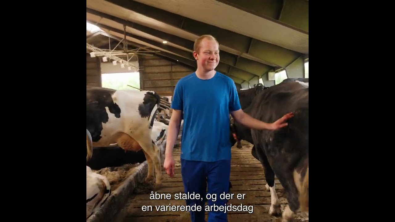 Landmand m. speciale i køer - Nordic Food College (EUC Nordvest)