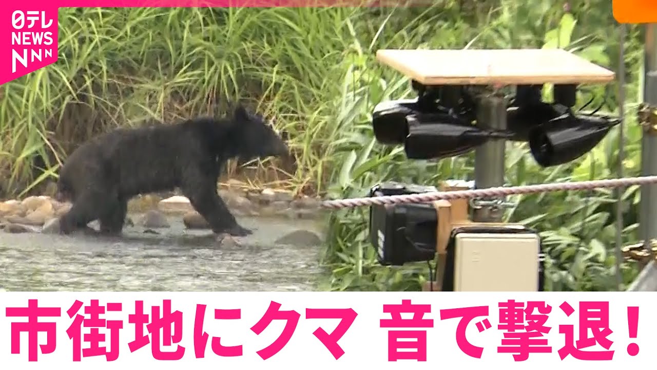 【クマ】効果あり！嫌がる