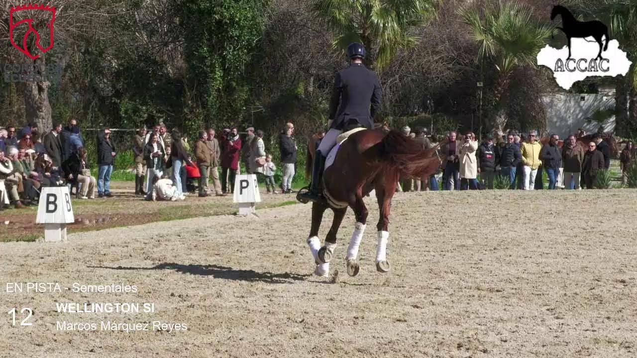 Emisión en directo de CRIADORES PRE CORDOBA