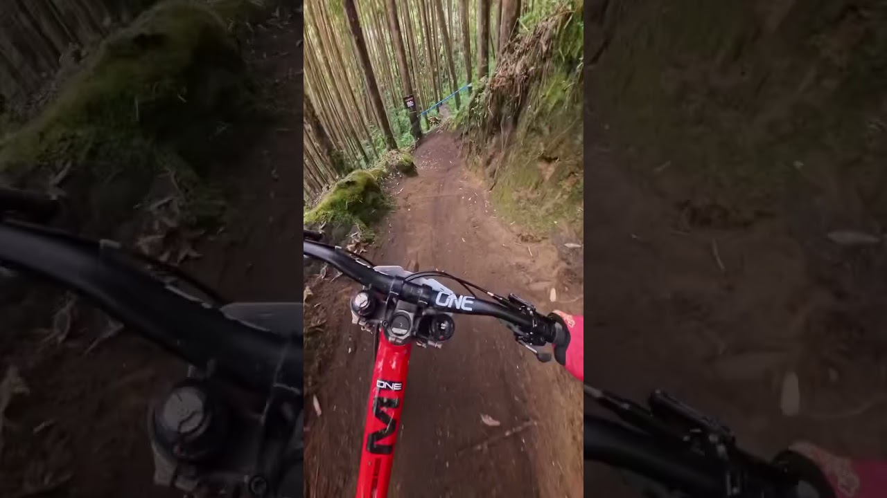 Fast or smooth? Comment blow.  #mtb #lewisbrakes