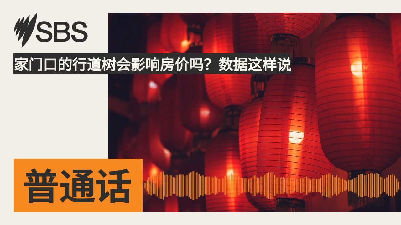 家门口的行道树会影响房价吗？数据这样说 | SBS Mandarin - SBS 普通话电台