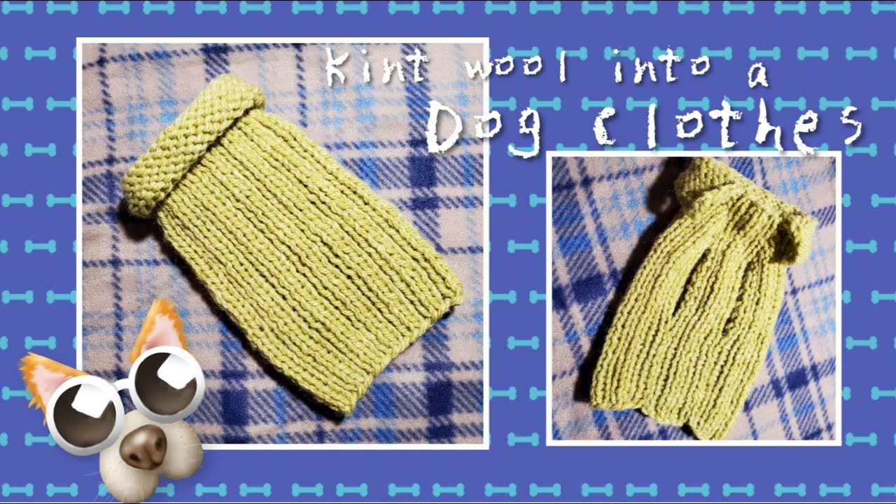 わんちゃん（犬）のニット服の編み方☆猫ちゃんにも応用可能です☆How to knit dog wear