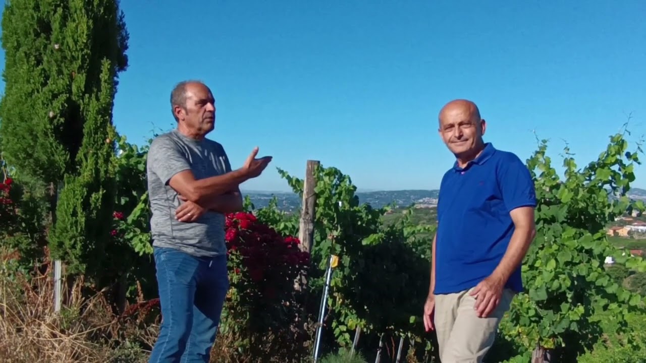 Rocca del Principe, Campania: Slow Wine 2024
