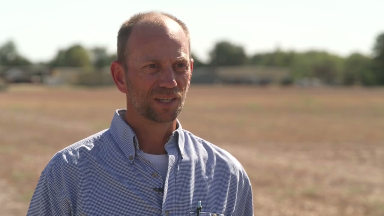 Salty Water For Crops?