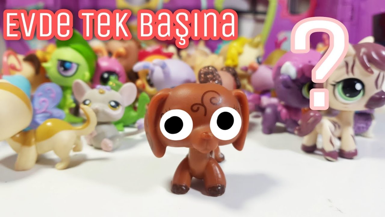 Minişler: Evde Tek Başına ? | Minişler LPS Pati
