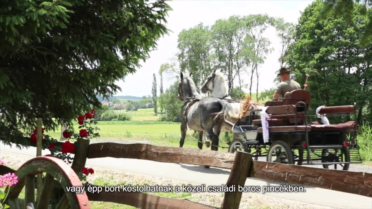 Seoski Turizam Rakič