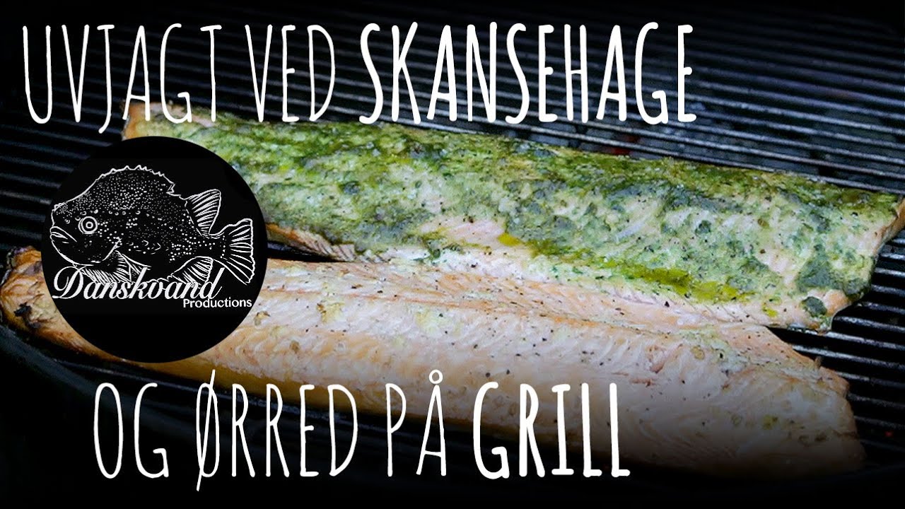 Uvjagt ved Skansehage og grillet &oslash;rred