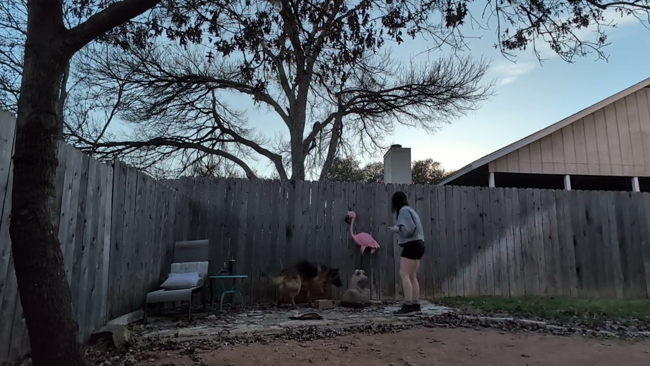 NW120 - Intro to Exteriors, part 3