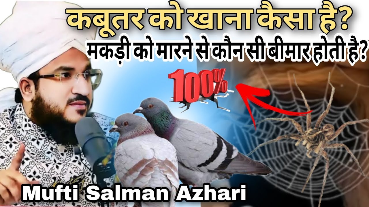 Kya makdi ka Jala Saaf Karna Chahiye-Mufti Salman Azhari//मकड़ी को मारने से...@AliislamicDuniya