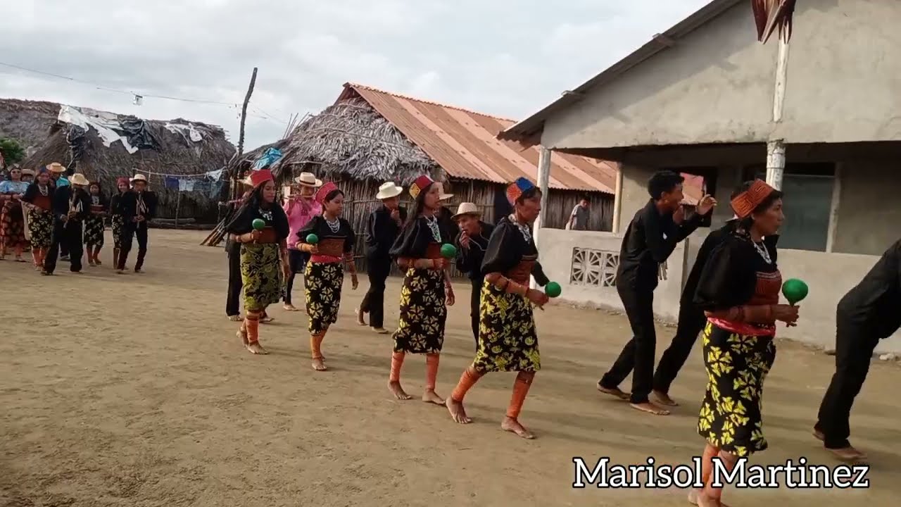DESFILE DE DANZA GUNA EN LA COMUNIDAD DE RIO TIGRE #gunayala #danzaguna
