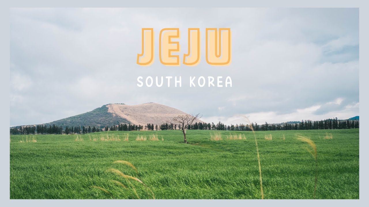Hallabong on Jeju Island || Jeju, South Korea (Pt. IV)