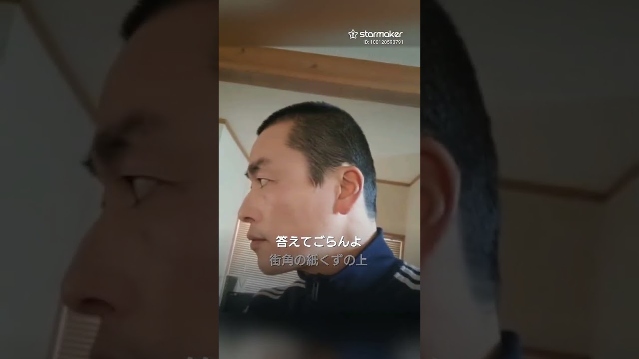 街路樹