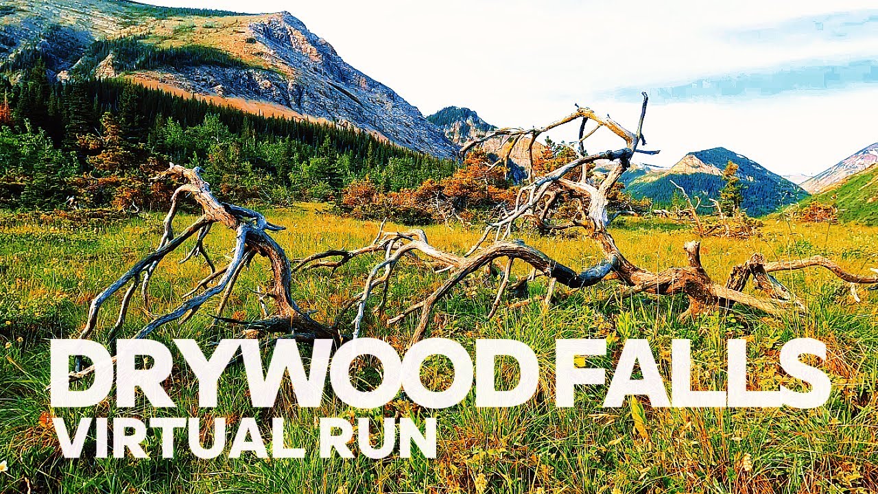 Drywood Falls Virtual Run 4K | 40 min | Treadmill Workout Scenery | Virtual Walk | Virtual Hike