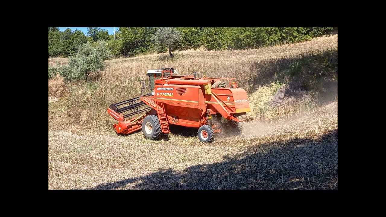 Trebbiatura orzo e favino 2021 con LAVERDA 1740 AL