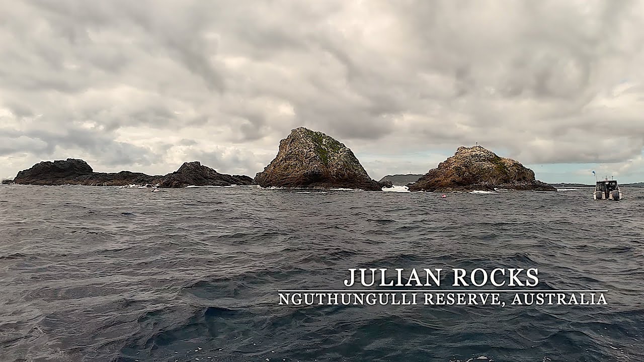 Tauchen in Australien, Julian Rocks, (Nguthungulli)