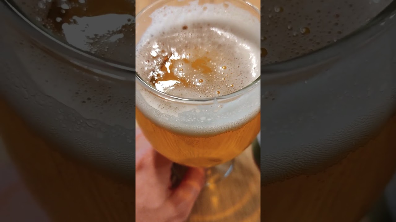 Piwo GILDE Test #testy #test #piwo #vlog #beer #pivo #polska