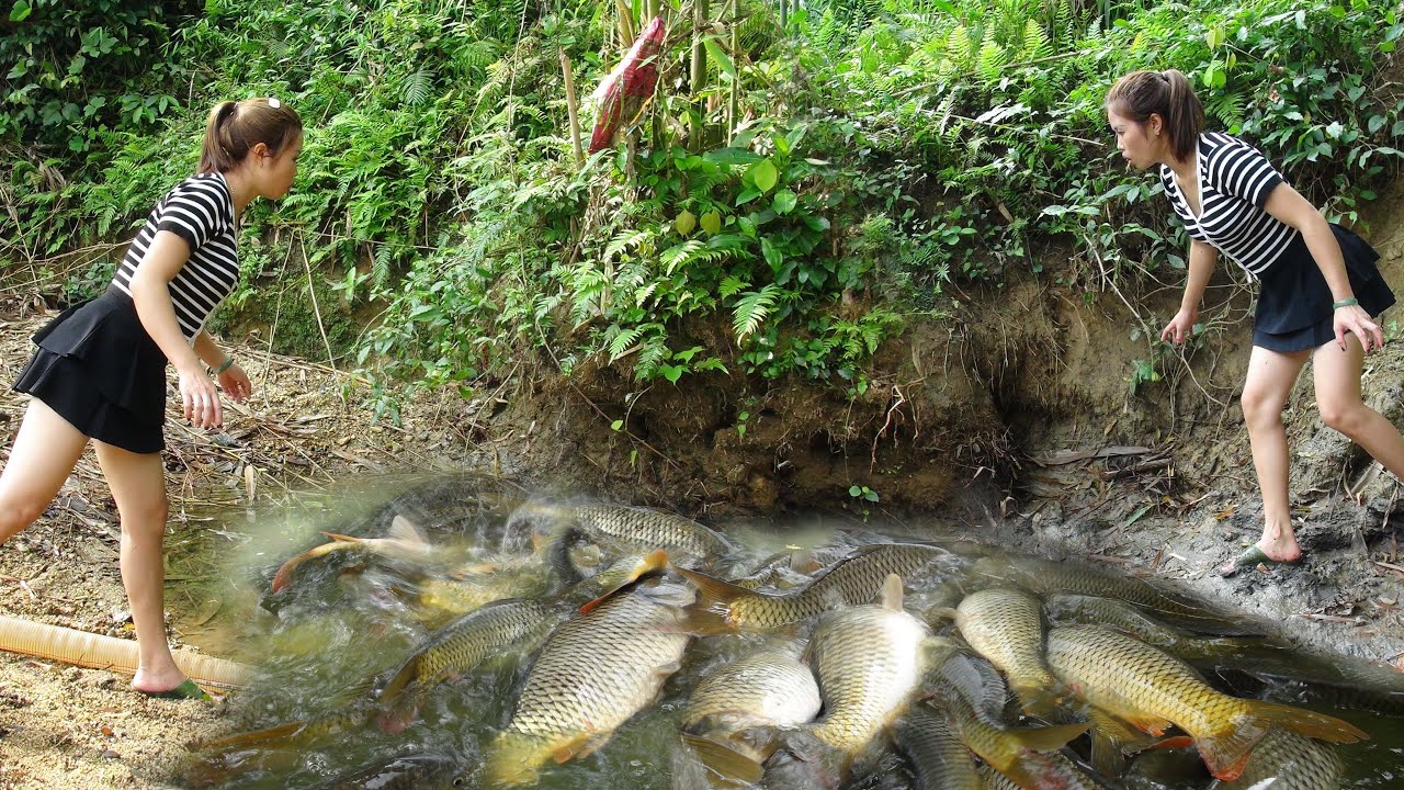 Fishing video: Beautiful girl is a fisherman, Using a water pump, caught a lot of fish in the lake
