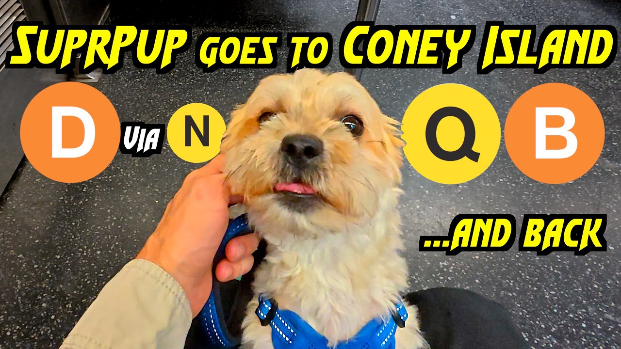 SuprPup visits Coney Island Pier | D via N, Q, B