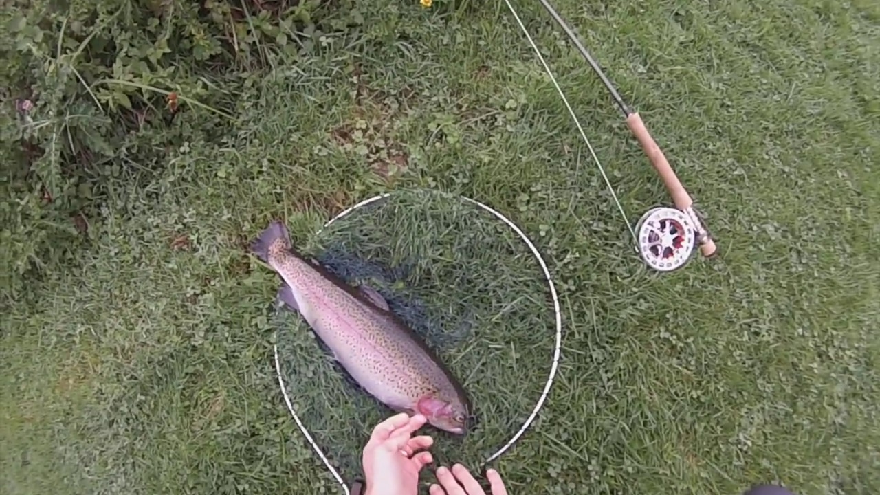 #4: A Day Stalking Trout at Rockbourne with Martyn Williams