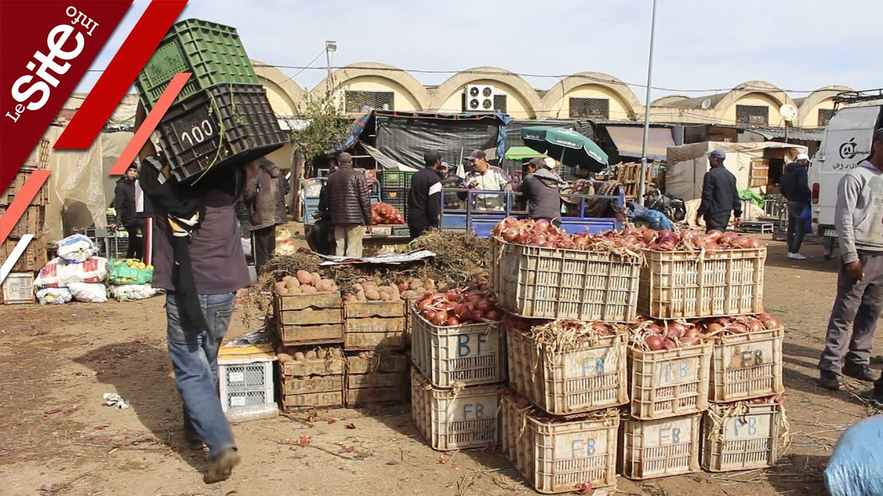 ارتفاع أسعار الخضر والفواكه بسوق الجملة بفاس.. تجار: حشومة هادشي وبقينا عايشين غير في الخطية