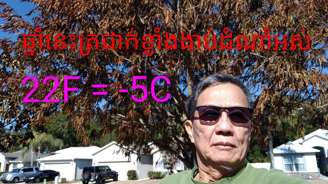ឆ្នាំនេះធាតុអាកាសនៅ Florida ត្រជាក់ឡើងស្លោកស្លឹកដើមឈើអស់ / KSH Feb.08, 2025