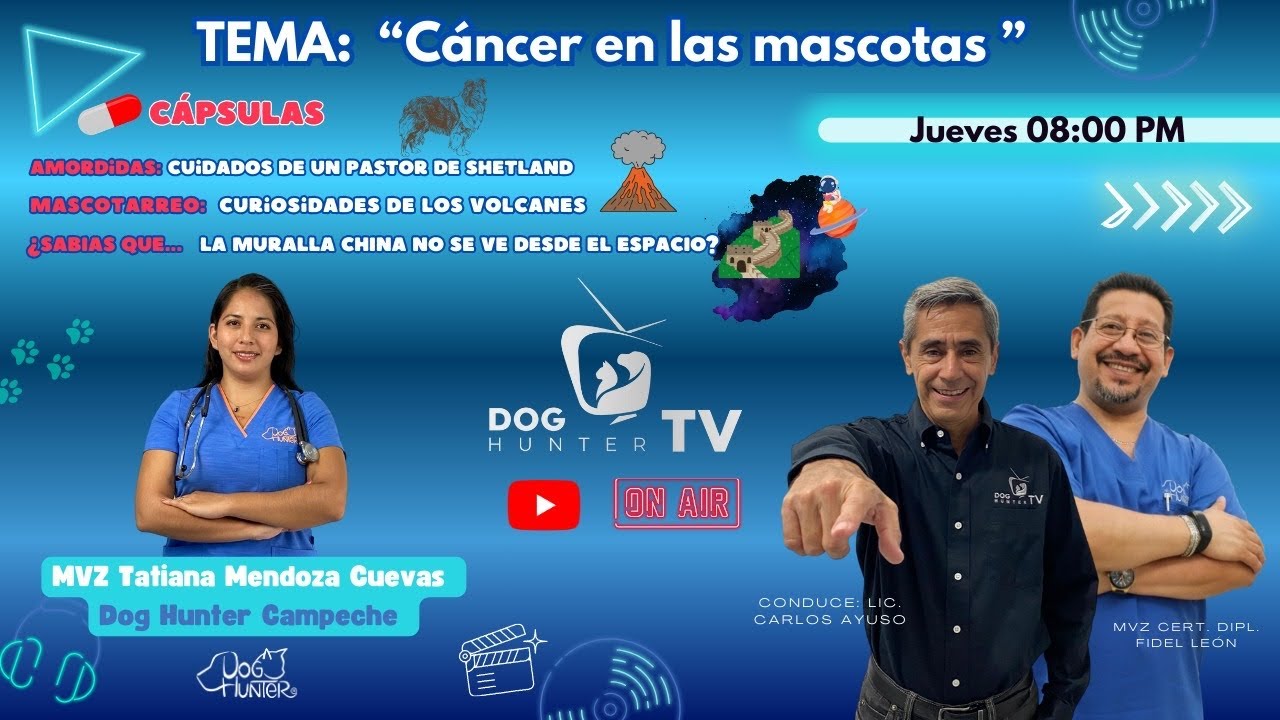 CANCER EN LAS MASCOTAS