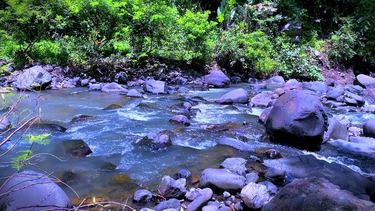 Calming Water Sounds for Yoga | Peaceful River Flow Ambience