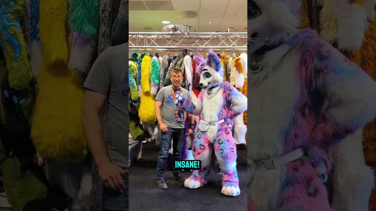 🔥 Европейские фурсьют-лаунжи выходят на новый уровень! 🇸🇪✨ #NFC2025 #фурри