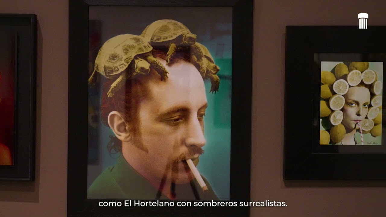 Curiosidades 