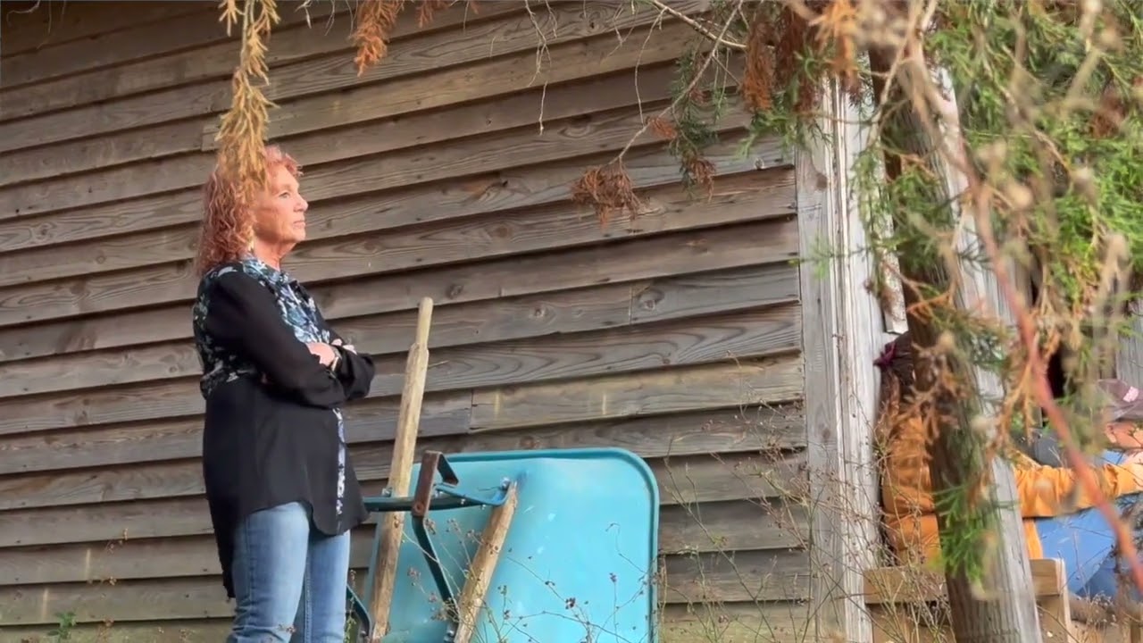 Equine Gestalt Coaching Method demonstration