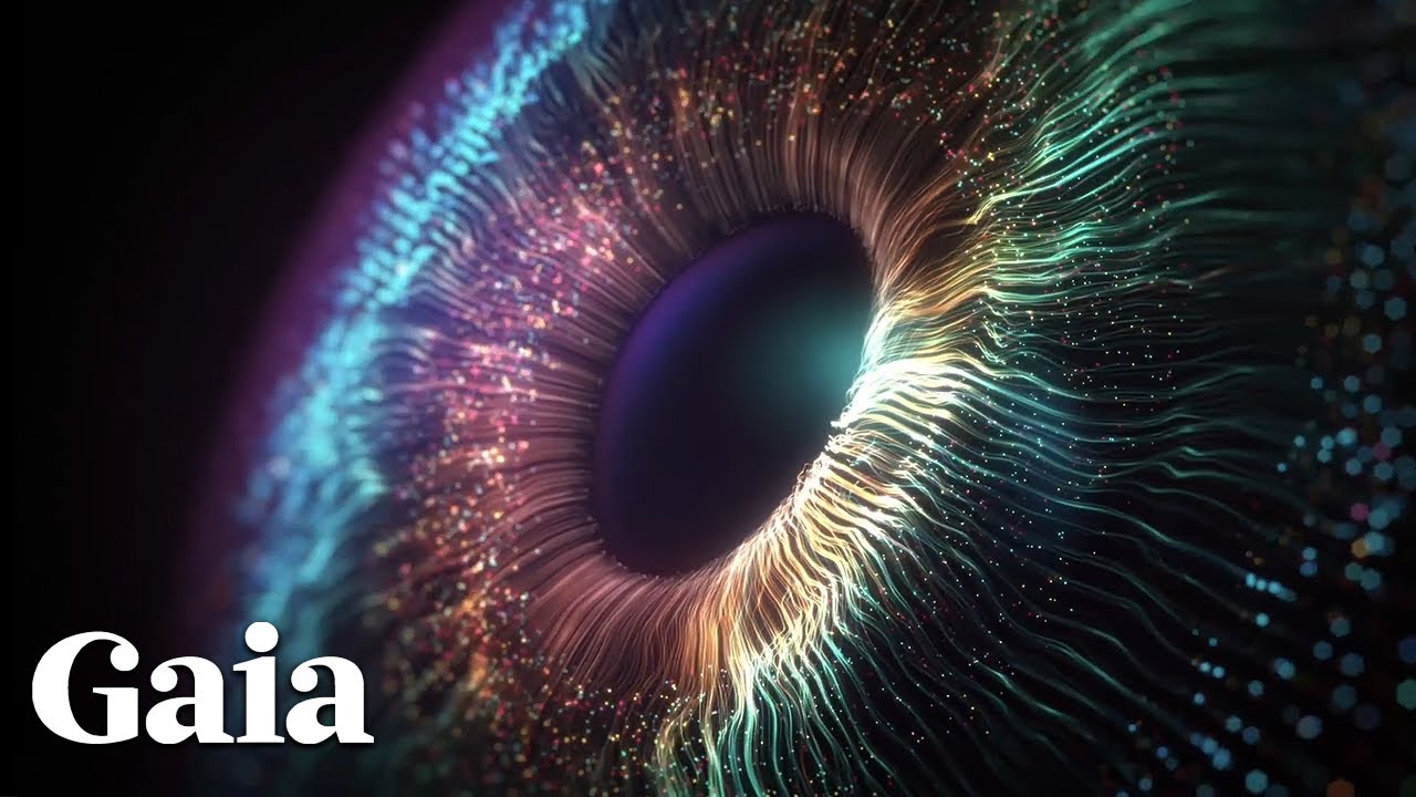 Is It Possible to CHANGE Your Brainwaves?