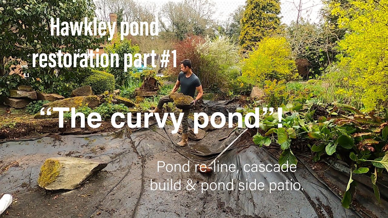 Hawkley pond restoration: “The curvy pond!”