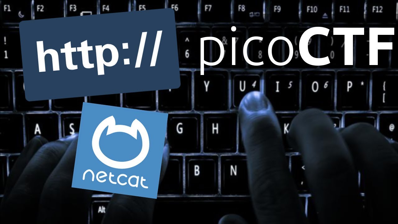 Manual HTTP Requests | Artisinal Handcrafted HTTP 3 [31] picoCTF 2018