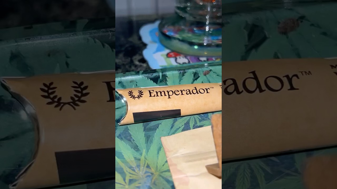 5g raw emperador cone