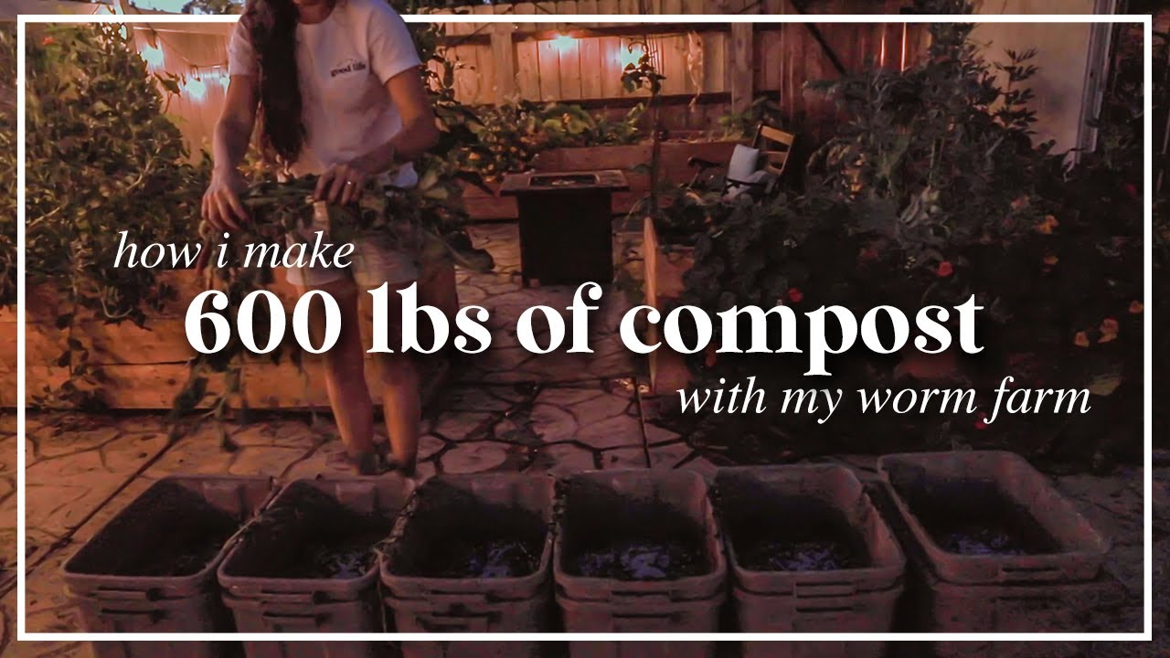 How I Make 600 Pounds of Compost with my Worm Farm (from garden scraps)