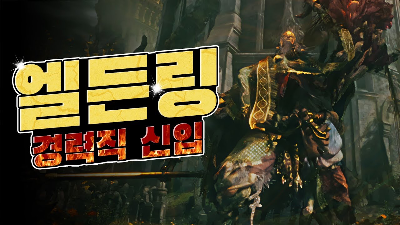 경력직 신입도 입사가 가능할까요?｜엘든링 1화